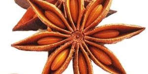 Vietnam Spring Star Anise
