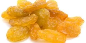 Yellow Raisins