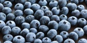 Frozen Blueberry
