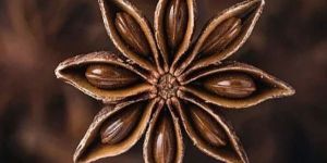 Star Anise