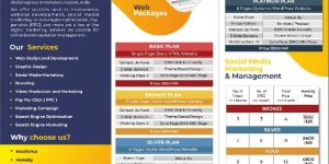 Website Development Package