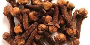 Clove Pods