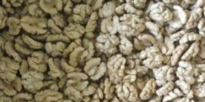 Walnut Kernels
