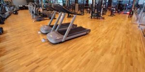 Vinyl Gym Flooring