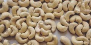 W450 Cashew Nuts