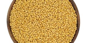 Yellow Mustard Seeds