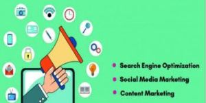 Seo Consultation Service