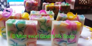 D Mint Swirl Goat Milk Soap