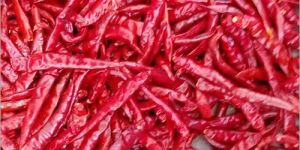 Red Chilli