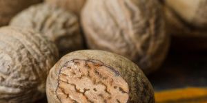 Nutmeg