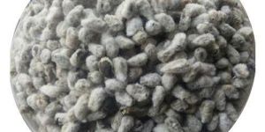 Cotton Seeds