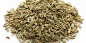 Fennel Seeds