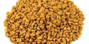 Fenugreek Seeds