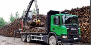 Kesla Industrial Crane