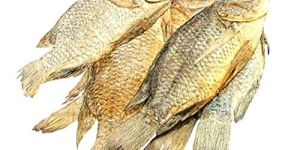 Dried Tilapia Fish