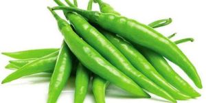 Fresh Green Chilli
