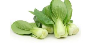 Fresh Pak Choi