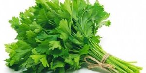 Fresh Parsley