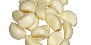 Fresh Peeled Garlic