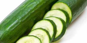 Fresh Sweet Cucumber