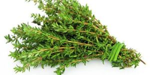 Fresh Thyme