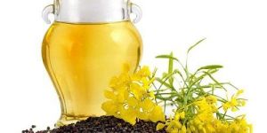 Refined Rapeseed Oil