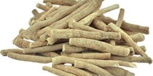 Dried Ashwagandha Roots