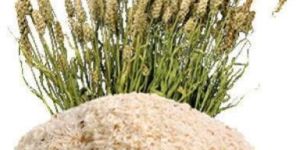 Psyllium Husk