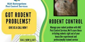 Rodent Control