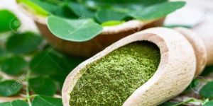 Moringa Powder