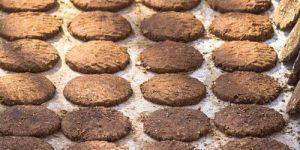 Cow Dung Cake