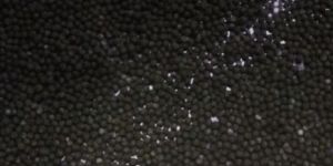 Hematinic with Folate Vit C Pellets