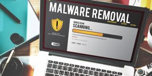 Laptops Virus Removel