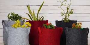Plant Grow Bags
