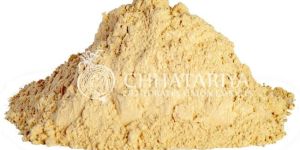 Dehydrated Garlic Powder