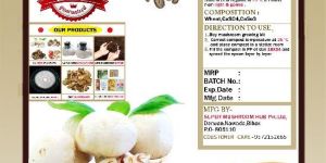 Button Mushroom Spawn