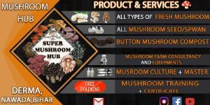 Mushroom Farm Consultancy