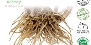 Valerian Root Oil