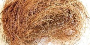 Coco Fibre