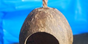 Single Hole Coconut Reptile Shelter