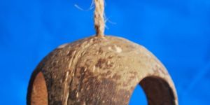 Three Hole Coconut Reptile Shelter