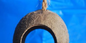 Two Way Coconut Reptile Shelter