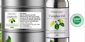 Camphor Oil