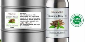 Cinnamon Bark Oil
