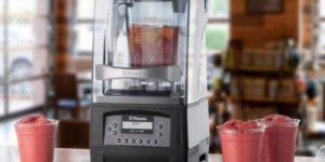 Vitamix the Quiet One Blender