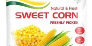 Rotogravure Printed Pouch