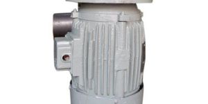 Double Speed Electric Motor