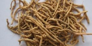 Dried Punarnava Root