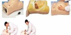 Maternity Examination Model