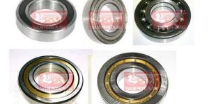 Transmission Bearing